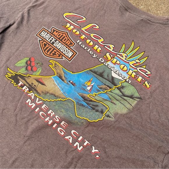 2001 Harley-Davidson Traverse City - Picture 3 of 6